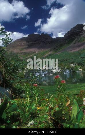 Crested Butte, Gunnison County, Colorado, Democrat Basin Foto Stock