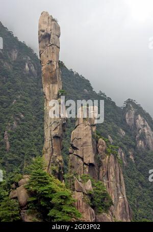 Monte Sanqingshan nella provincia di Jiangxi, Cina. Vista di Snake Rock o Python Rock, un pinnacolo roccioso sul Monte Sanqing. Foto Stock
