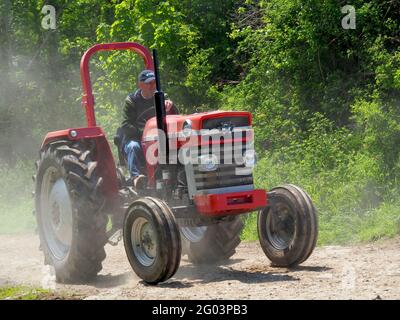 HOLSWORTHY, DEVON, INGHILTERRA - MAGGIO 30 2021: Trattore d'epoca, veicolo agricolo al rally. Massey Ferguson 165. Foto Stock