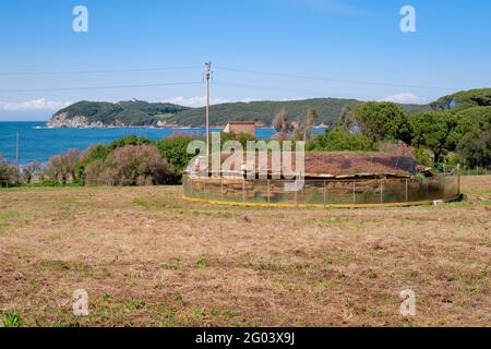 La città etrusca di Populonia conosciuta per le necropoli, le antiche rovine, il castello e il mare Foto Stock