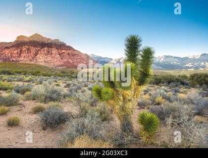 Splendido paesaggio desertico visto dal Red Rock Canyon Nevada Foto Stock