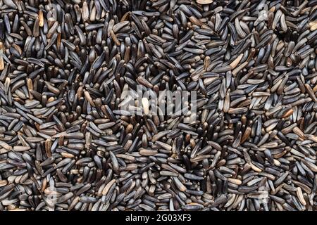 Sfondo alimentare - molti semi di niger a grani interi (Guizotia Abyssinica) primo piano Foto Stock