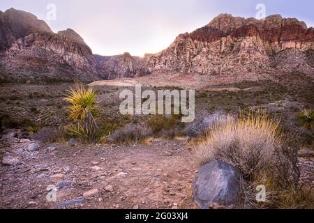 Splendido paesaggio desertico visto dal Red Rock Canyon Nevada Foto Stock