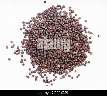 vista dall'alto del mucchio di semi marroni di brassica nigra primo piano della senape sulla piastra in ceramica grigia Foto Stock