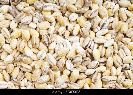 cibo di fondo - grani di orzo perlati non cotti Foto Stock