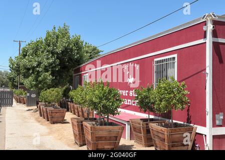 SAN JUAN CAPISTRANO, CALIFORNIA - 27 MAGGIO 2021: Zoomars River Street Ranch uno zoo di Petting nel quartiere storico di Los Rios. Foto Stock