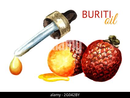 Esotico olio di frutta Buriti. Immagine disegnata a mano con acquerello isolata su sfondo bianco Foto Stock