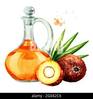 Esotico olio di frutta Buriti nella caraffa. Immagine disegnata a mano con acquerello isolata su sfondo bianco Foto Stock