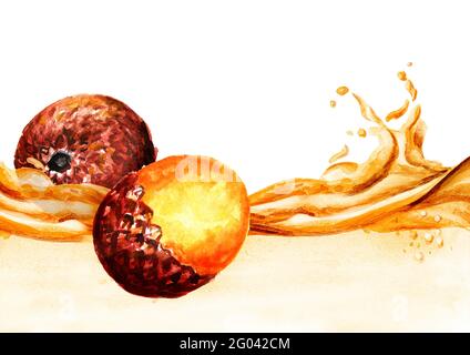 Esotica frutta Buriti olio onda. Immagine disegnata a mano con acquerello, isolata su sfondo bianco Foto Stock