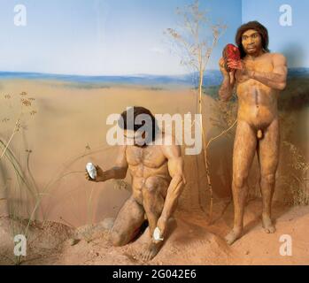 Evoluzione umana. Antecessore Homo. Specie umane. da 1.200 a 800.000 anni fa. Ricreazione di una scena di caccia. Mostra "Atapuerca: Un millón de años" (Atapuerca: Un milione di anni). Museo di Burgos, Spagna (anno 2000). Foto Stock