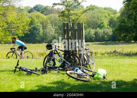 Ciclista e diverse biciclette parcheggiate contro / appoggiate su una gabbia di alberi a Richmond Park, Surrey. REGNO UNITO. (123) Foto Stock