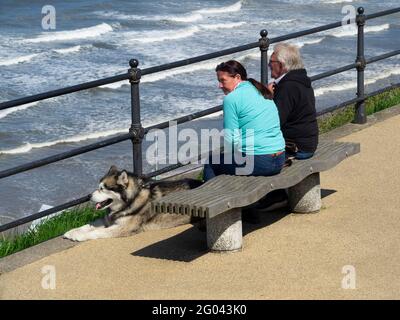 L'uomo e una donna si riposano sulla scogliera La passeggiata più alta a Saltburn by the Sea con il loro Husky cane Foto Stock