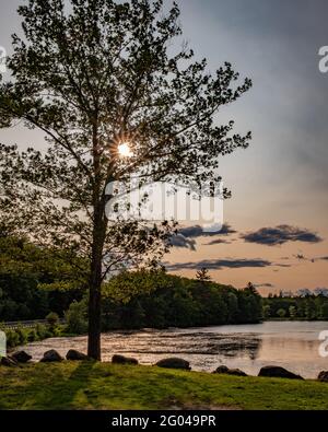 Harvard Pond a Petersham, Massachusetts nel tardo pomeriggio Foto Stock