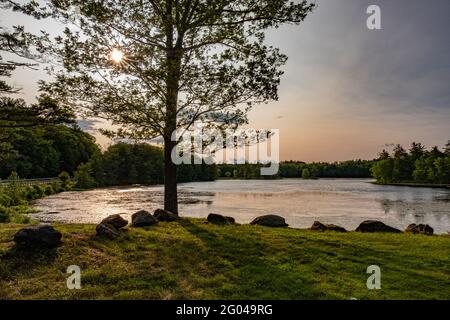 Harvard Pond a Petersham, Massachusetts nel tardo pomeriggio Foto Stock