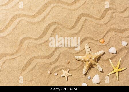 Starfish e altre conchiglie sulla sabbia con spazio di copia, sfondo estivo. Foto Stock