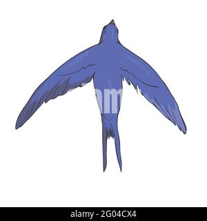 Immagine semplificata di una deglutina volante isolata su sfondo bianco. Vettore, illustrazione Illustrazione Vettoriale