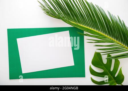 Modello di cartoncino bianco vuoto con foglia di palmo su sfondo verde. Sfondo creativo della natura con spazio di copia. Design creativo di mockup della carta vuota. Disposizione piatta Foto Stock