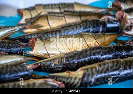 Pezzi di sgombro affumicato giacciono su un nastro trasportatore. Fabbrica di cibo di pesce. Foto Stock