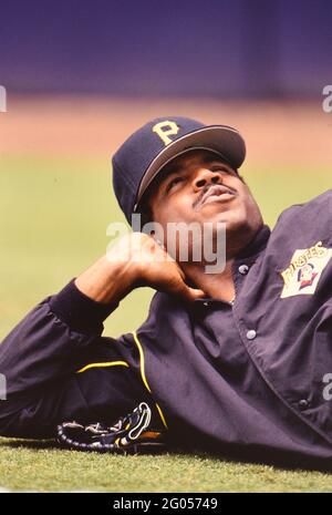 Pittsburgh Pirates outfielder Barry Bonds -- Please credit photographer Kirk Schlea Foto Stock