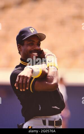 Pittsburgh Pirates outfielder Barry Bonds -- Please credit photographer Kirk Schlea Foto Stock