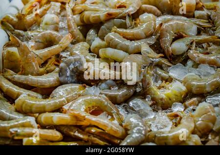 I gamberi marroni sono su ghiaccio al Billy's Seafood sul fiume Bon Secour, 27 maggio 2021, a Bon Secour, Alabama. Foto Stock