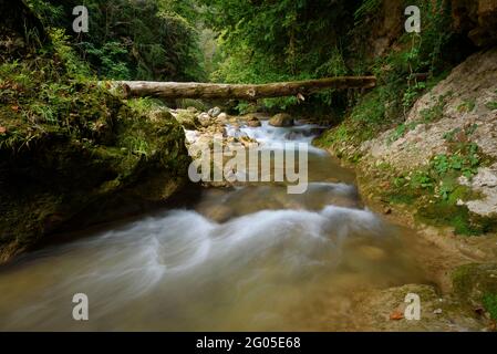 Fiume Aigua de Valls sulla strada per Pont Cabradís grotta (Berguedà, Catalogna, Spagna, Pirenei) ESP: El Río Aigua de Valls de camino al Pont Cabradís Foto Stock