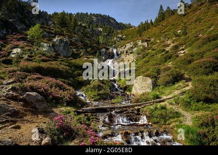 La gola di Aixeus, sul sentiero fino alla vetta del Monteixo, in estate (Parco Naturale Alt Pirineu, Catalogna, Spagna, Pirenei) Foto Stock