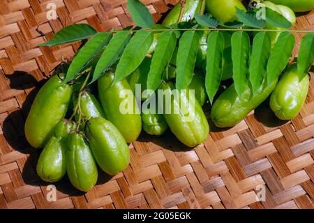 Averrhea bilimbi e foglie verdi su bambù tessute, noto come bilimbi frutta, cetriolo albero, un albero fruttifero del genere Averrhea, molti benefici a. Foto Stock