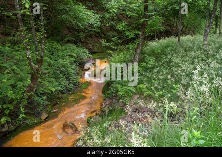 Parco delle acque curative, vicino a Srebrenica, Bosnia. L'alto contenuto di ferro e minerali delle acque presumibilmente hanno poteri curativi, la Bosnia-Erzegovina Foto Stock