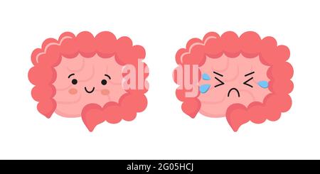 Felice kawaii carattere di piccolo e grande intestino. Organo interno del corpo umano del tratto gastrointestinale. Viscere astratte. Illustrazione vettoriale Illustrazione Vettoriale