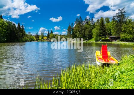 Germania, colorato pedalò sulla superficie dell'acqua del bellissimo lago ebnisee vicino kaisersbach circondato da alberi verdi di foresta con il sole in estate Foto Stock