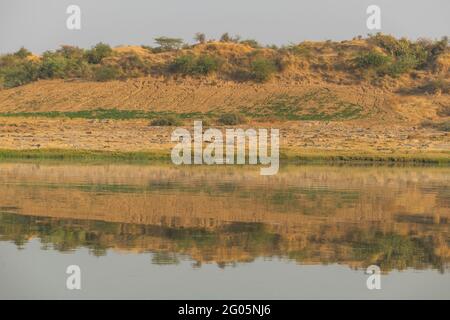 Sulle rive del fiume Chambal nel Rajasthan Foto Stock