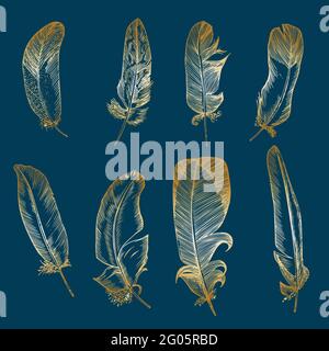 Impostare lo schizzo realistico di Bird Feather su uno sfondo isolato. Inchiostro dettagliato linea penna clip Art, Golden Plume Boho clipart. Stile di incisione disegnato a mano Illustrazione Vettoriale