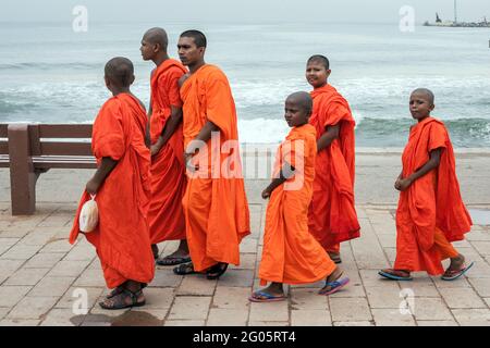 Gruppo di monaci buddisti di varie epoche preambolo lungo Galle Face, Colombo, Sri Lanka Foto Stock