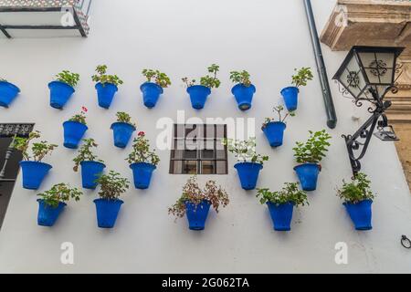 Muro con vasi decorativi di fiori a Cordova, Spagna Foto stock - Alamy