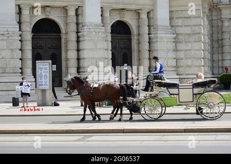 Vienna, Austria. . 1 giugno 2021. Gli attivisti per i diritti degli animali dell'Associazione contro le fabbriche di animali hanno protestato contro la tragica morte del cavallo da fiaco "Nelson", morto davanti al Burgtheater con una lacrima aortica. Credit: Franz PERC / Alamy Live News Foto Stock