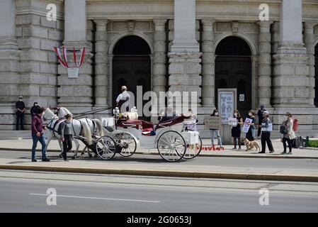 Vienna, Austria. . 1 giugno 2021. Gli attivisti per i diritti degli animali dell'Associazione contro le fabbriche di animali hanno protestato contro la tragica morte del cavallo da fiaco "Nelson", morto davanti al Burgtheater con una lacrima aortica. Credit: Franz PERC / Alamy Live News Foto Stock