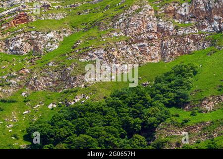 Strati rocciosi nella riserva naturale Foto Stock