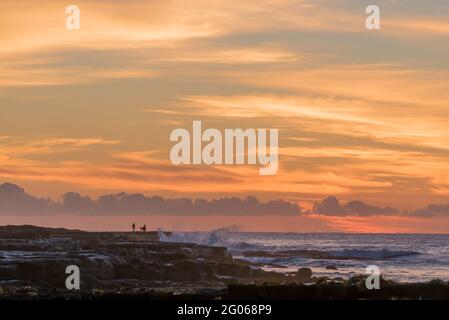 Una coppia silhouetted ed il loro cane stanno in piedi su una mensola di roccia poco prima dell'alba a Culburra Beach (sud) sulla costa sud del nuovo Galles del Sud dell'Australia Foto Stock