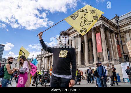 L'attivista del clima indossa una maschera facciale per nascondere l'identità e ondeggia una bandiera della National Gallery, Trafalgar Square durante una protesta di ribellione dell'estinzione Foto Stock