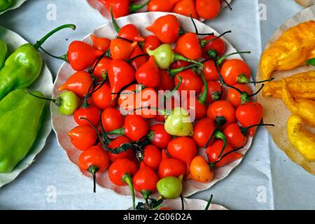 Peperoncini rossi sul mercato Foto Stock