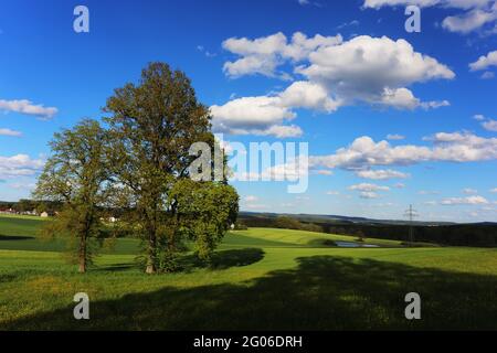 Ein Spaziergang vorbei an Wiesen und Bäumen mit schönen Wolken am Annaberg in Sulzbach Rosenberg bei Amberg Foto Stock