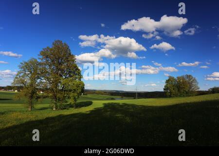 Ein Spaziergang vorbei an Wiesen und Bäumen mit schönen Wolken am Annaberg in Sulzbach Rosenberg bei Amberg Foto Stock