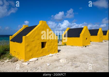 Giallo ex vecchie case schiavi, Bonaire, Caraibi olandesi. Foto Stock