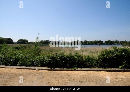 Woodberry Wetlands, Londra, Regno Unito. 1 Giugno 2021. Regno Unito Meteo: Soleggiato e caldo a Woodberry Wetlands. Credit: Matthew Chpicle/Alamy Live News Foto Stock