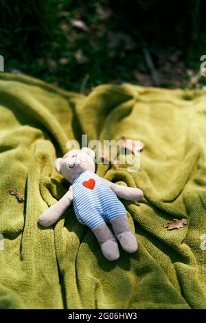 L'orso di Teddy si trova su un copriletto verde sul prato. Vista dall'alto Foto Stock