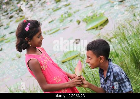 I bellissimi laghetti di fiori di loto Foto Stock