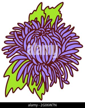 Aster boutonnière un piccolo bouquet di fiori bianchi. Linea stile doodle disegnata a mano. Illustrazione vettoriale Illustrazione Vettoriale