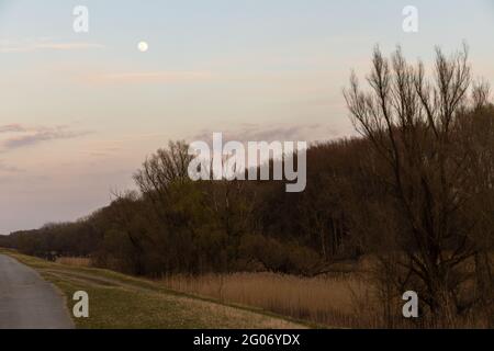 Crepuscolo sopra la foresta con una luna piena nel cielo Foto Stock