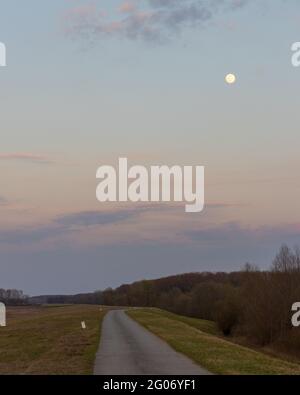 Crepuscolo sopra la foresta con una luna piena nel cielo Foto Stock